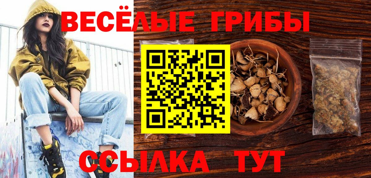 Галлюциногенные грибы GOLDEN TEACHER Сунжа