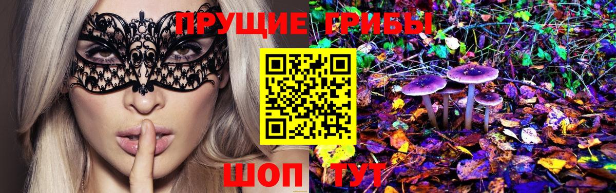 Сунжа  Галлюциногенные грибы Magic Shrooms  как найти наркотики  Вход с VPN 