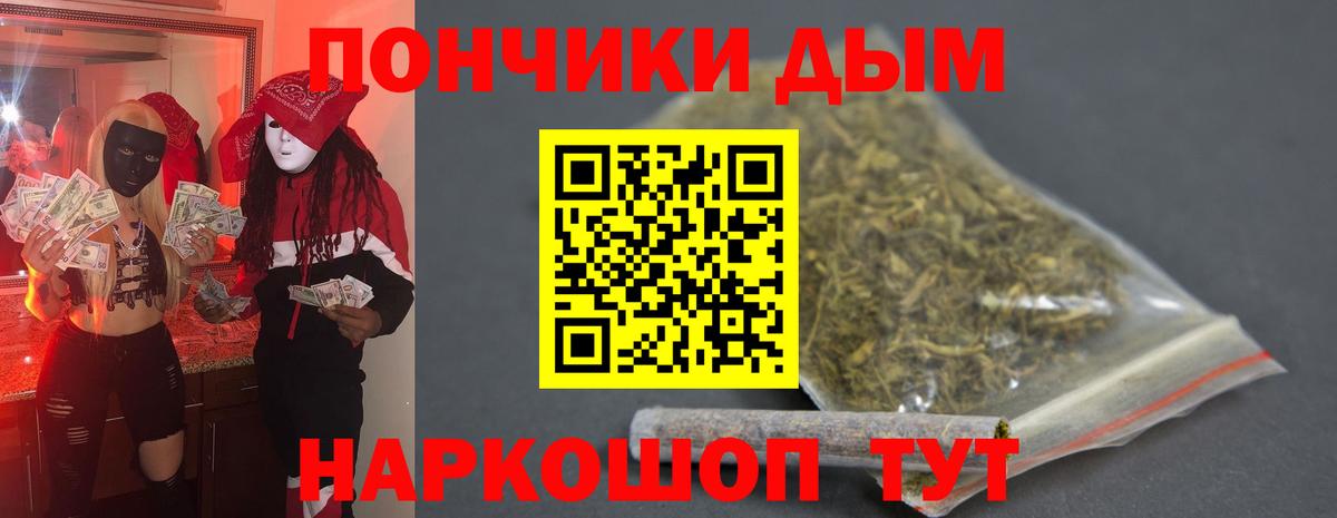 Бошки Шишки VHQ Сунжа
